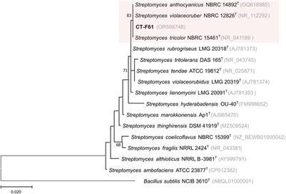 Decylprodigiosin: a new member of the prodigiosin family isolated from a seaweed-associated Streptomyces